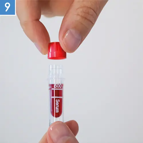 Anleitung step 9