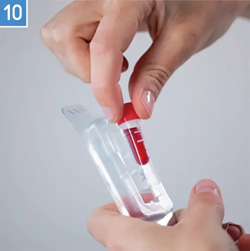 Anleitung step 10